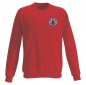 Preview: TSV Friedberg-Fauerbach - kids-sweatshirt / premium