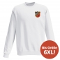 Preview: FC Hessen Massenheim - sweatshirt / performance