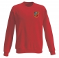 Preview: FC Hessen Massenheim - sweatshirt / performance