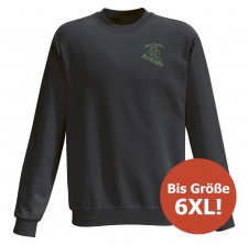 Skiteam Trais-Horloff - sweatshirt / performance