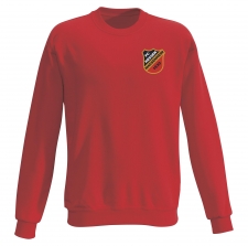 Preview: FC Hessen Massenheim - sweatshirt / performance