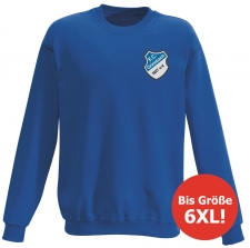 FC Griesbach - sweatshirt / performance