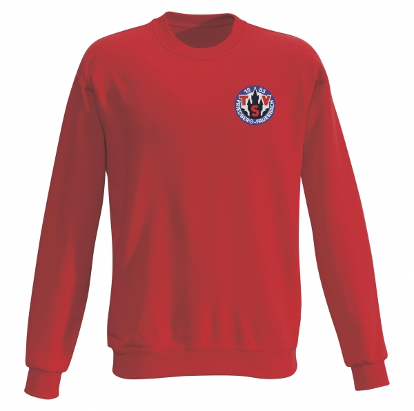 TSV Friedberg-Fauerbach - kids-sweatshirt / premium
